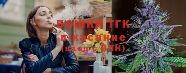 ГАЛЛЮЦИНОГЕННЫЕ ГРИБЫ Балахна