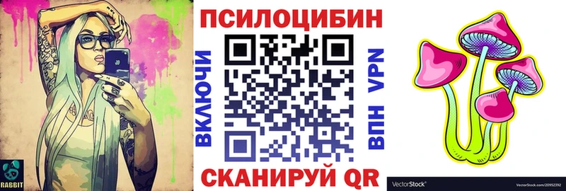 где продают   Моздок  Псилоцибиновые грибы прущие грибы 