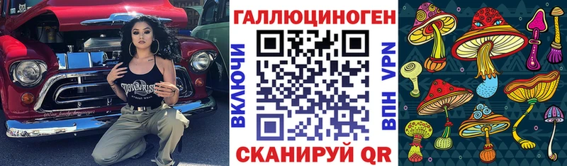 Псилоцибиновые грибы мицелий Моздок